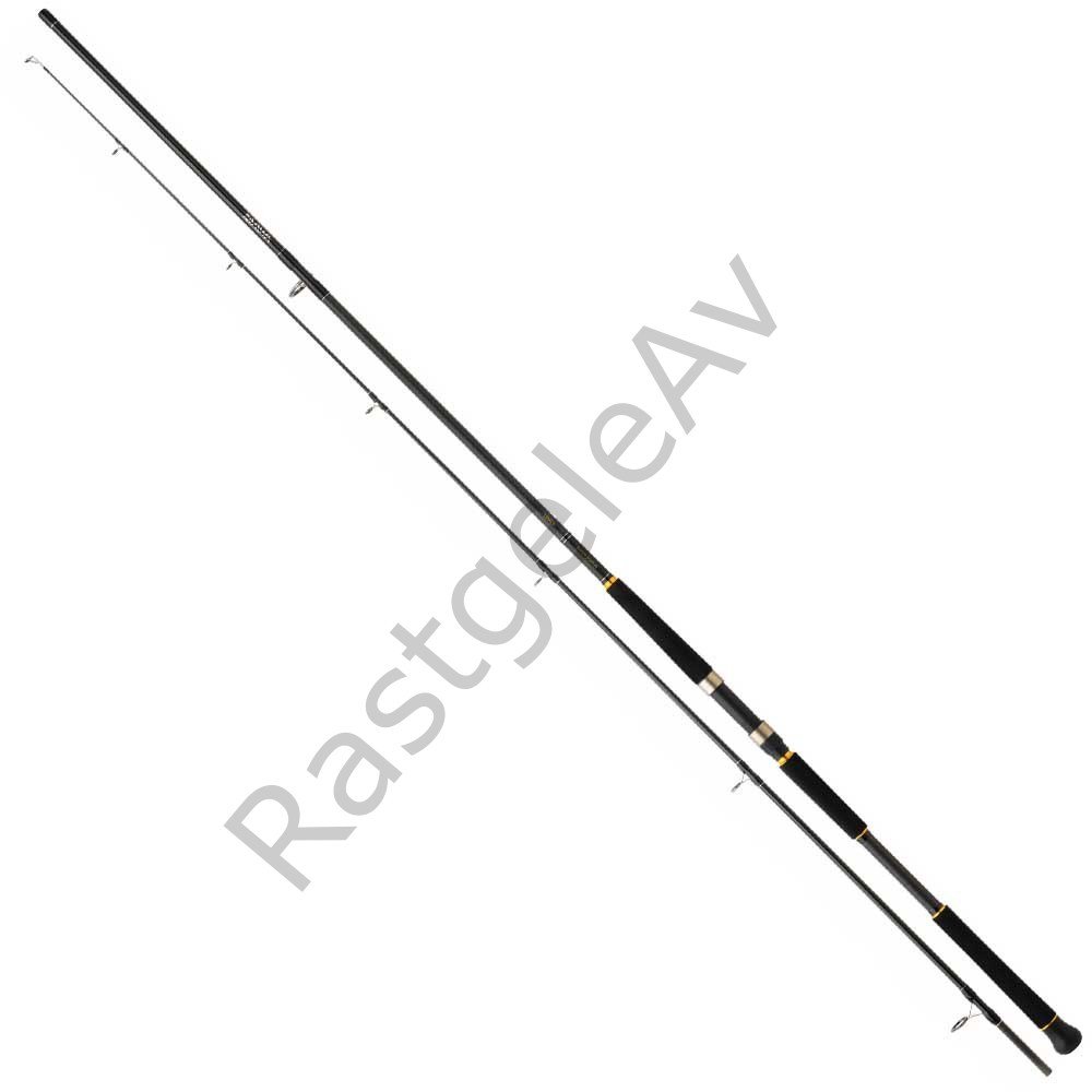 Daiwa Legalis Shore Jigging 290cm 28-84gr 2 Parça  Spin Kamış