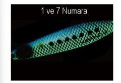 Hayabusa FS 449 Jack Eye Maki Pita Minnow 40gr Light Jig Suni Yem