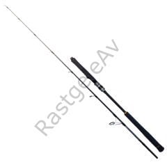 Ryuji Seawolf 1.98m 150-250gr 2P Jig Olta Kamışı