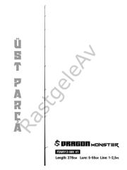 Fujin Dragon Monster 278cm 5-55gr Üst Parça