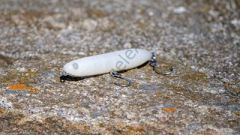 Fiiish Biotop Stick 100mm 15gr Ghost Suni Yem