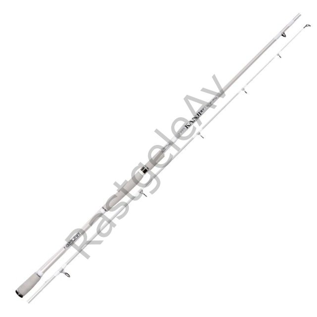 Nomura NM21209030 Kanji 300cm Shore Jig Kamış 40-80gr Atar