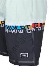 Fujin Pro Angler Board Short Mayo Anthracite Turquoise