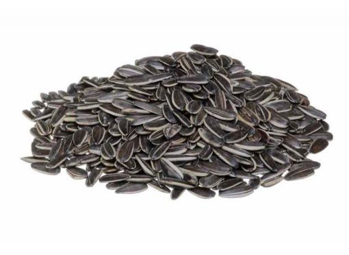 Molfix Bebek Bezi 5 Beden Junior Hiper Ekonomi Paketi 156 Adet