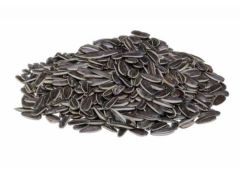 Molfix Bebek Bezi 5 Beden Junior Hiper Ekonomi Paketi 156 Adet