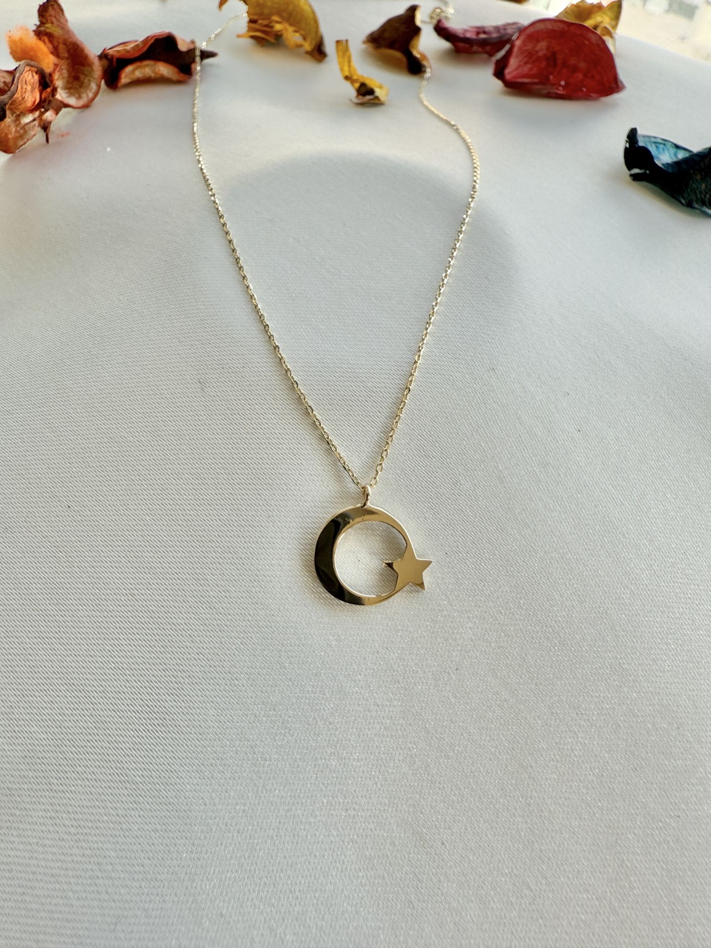 14 Kuyumculuk Mini Ay Yıldız Kolye