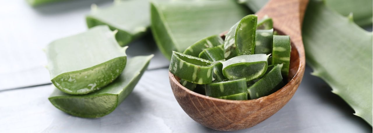 WHAT IS ALOE VERA GEL, WHAT ARE THE BENEFITS?