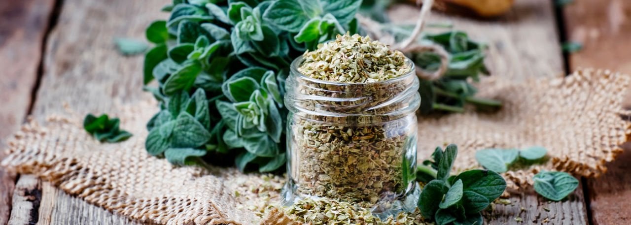 OREGANO OIL AND ITS BENEFITS