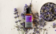 LAVENDER OIL 20 ML