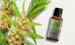 TEA TREE OIL 20 ML