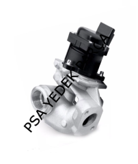 PEUGEOT 207 (2006-2012) 1.6HDİ EGR VANASI (KALE)