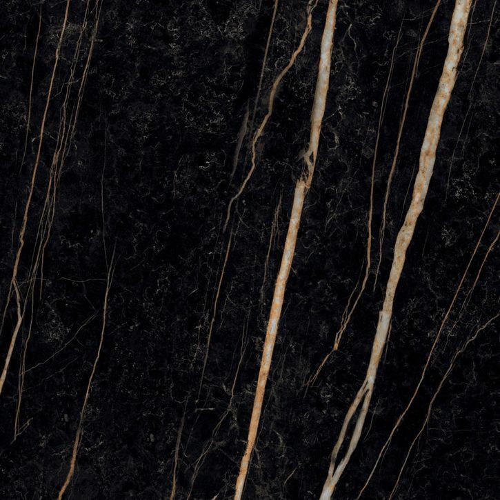 Sahara Noir