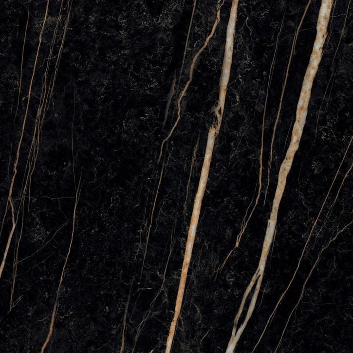 Sahara Noir
