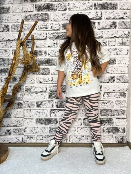 Taytlı zebra takım