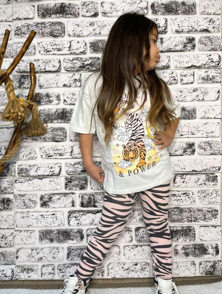 Taytlı zebra takım