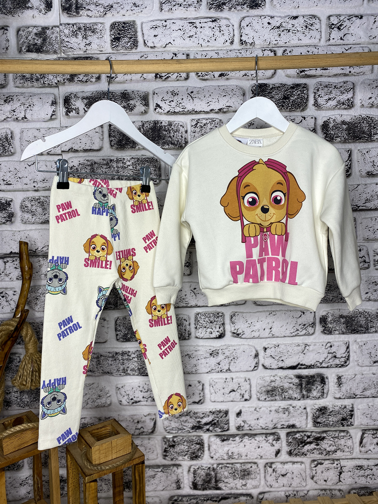 Paw Patrol Takım