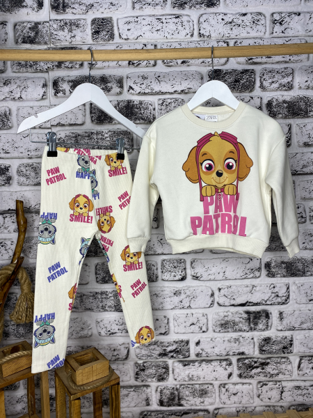 Paw Patrol Takım