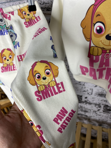 Paw Patrol Takım