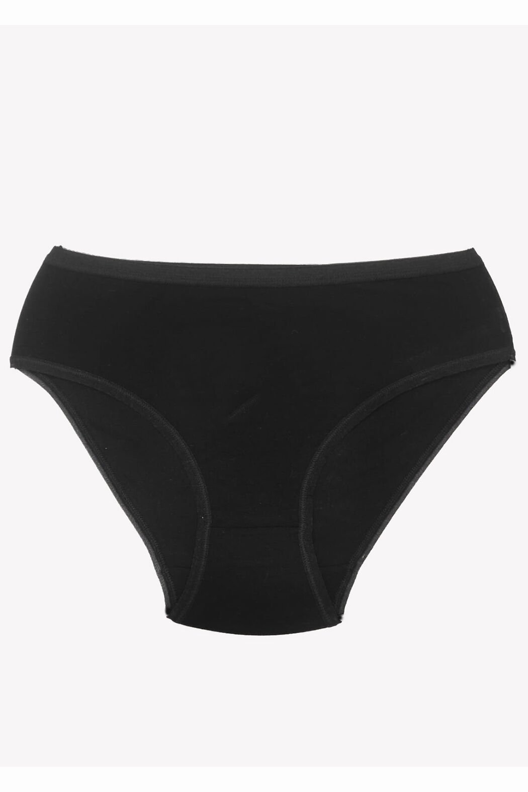 Papatya Lingerie 2864 Kadın Micro Modal Yüksek Bel Külot