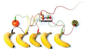 Makey Makey Standart Dəst