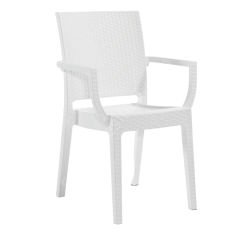 Falkao Kollu Rattan Görünümlü Sandalye Beyaz