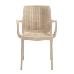 Fox Kollu PP Rattan Görünümlü Sandalye Teak
