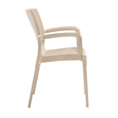 Fox Kollu PP Rattan Görünümlü Sandalye Teak