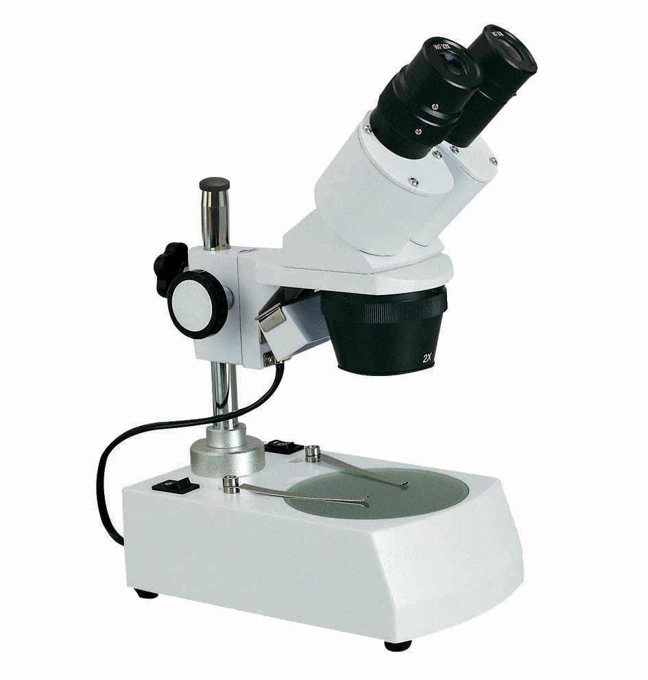 XTX-3C Binoküler Stereo Mikroskop