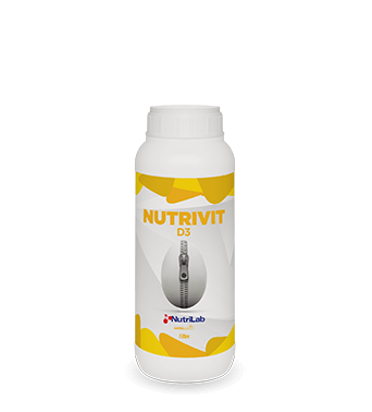 NUTRIVIT D3 D VİTAMİNİ