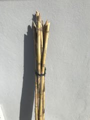 10 Adet Bambu Bitki Destek Çubuğu 150 cm