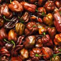 Çikolata Habanero Acı biber Tohumu (5 Tohum)