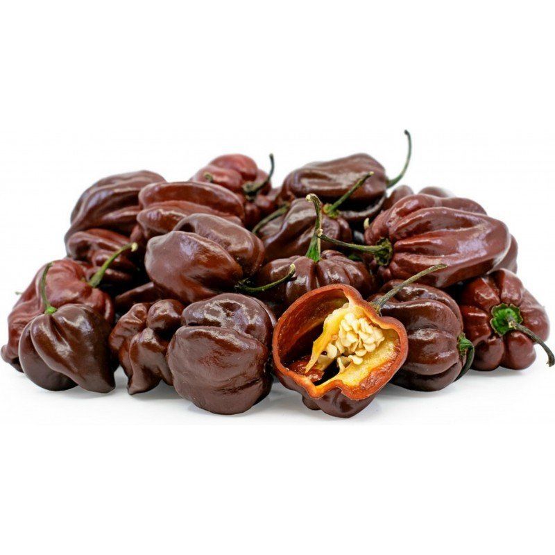 Çikolata Habanero Acı biber Tohumu (5 Tohum)