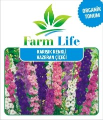 30 Adet Karışık Renkli Hazeran Çiçeği Tohumu