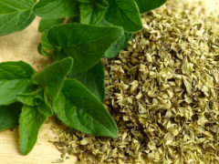 Oregano Tohumu 50 Adet (Origanum Majorana)