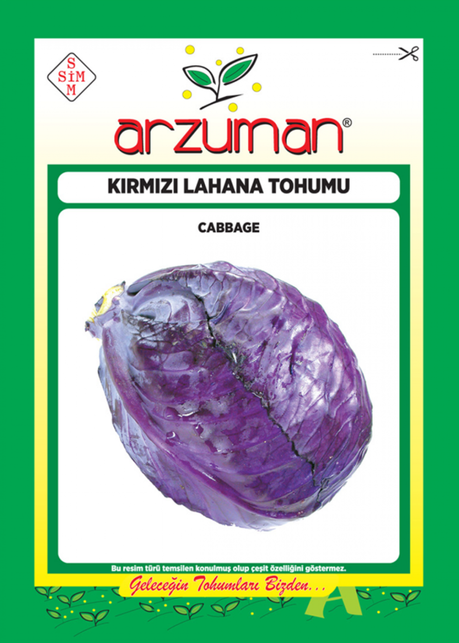 Kırmızı Lahana Tohumu 10 gr