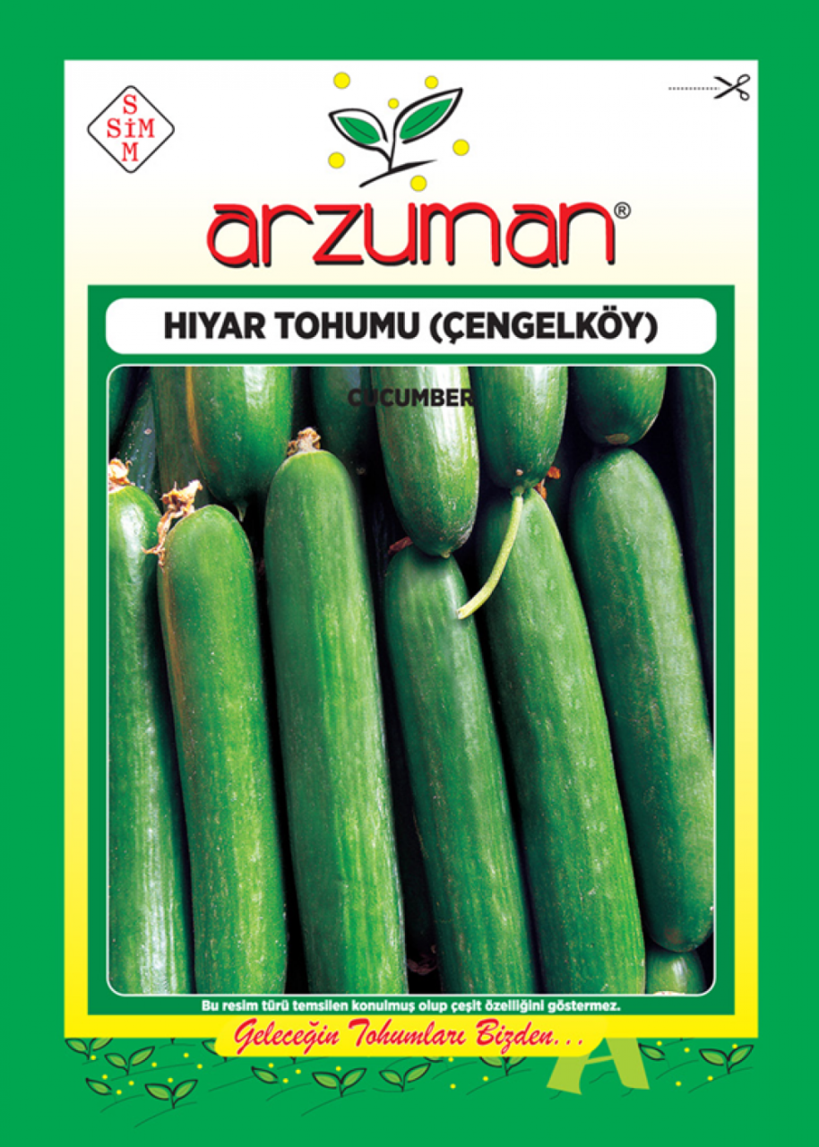 Hıyar Tohumu (Çengelköy Tipi) 10 Gr