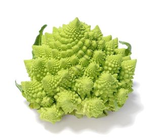 Piramit Karnabahar (Romanesco) Fidesi 6 Adet