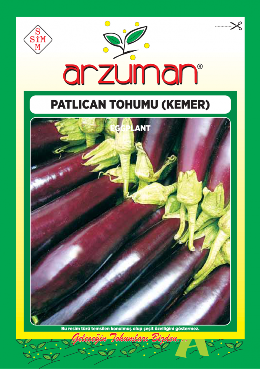 Kemer Patlıcan Tohumu 10 Gr