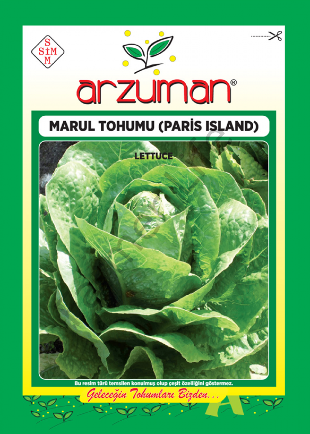 ﻿ Marul Tohumu Paris Island 10gr