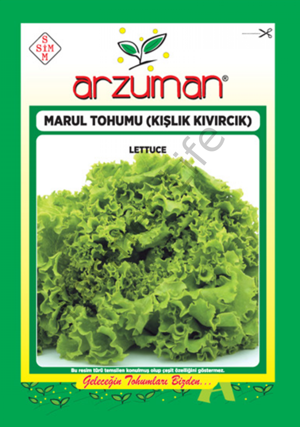 Marul Tohumu Kışlık Kıvırcık 10gr