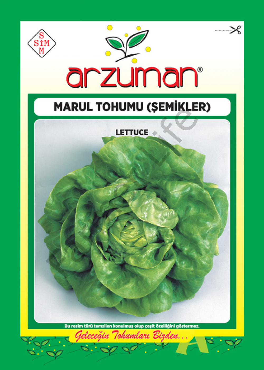 Marul Tohumu Şemikler 10gr