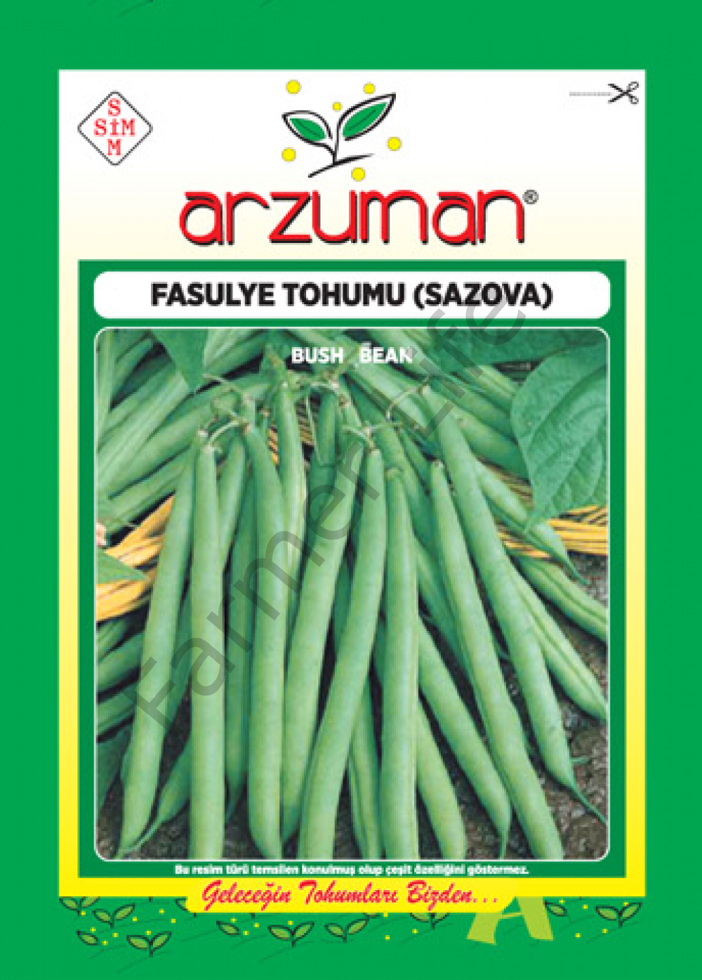 Fasulye Tohumu ﻿ Sazova 50 gr