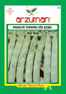 Fasulye Tohumu Özayşe 25 gr