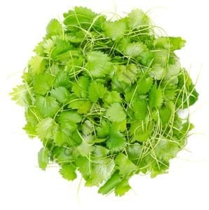 Organik Microgreen Anason Tohumu 25 gr
