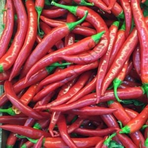 Acı Şili Biber Fidesi (Chili Pepper)