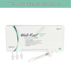 Well Root ST Bioseramik Bazlı Kanal Patı