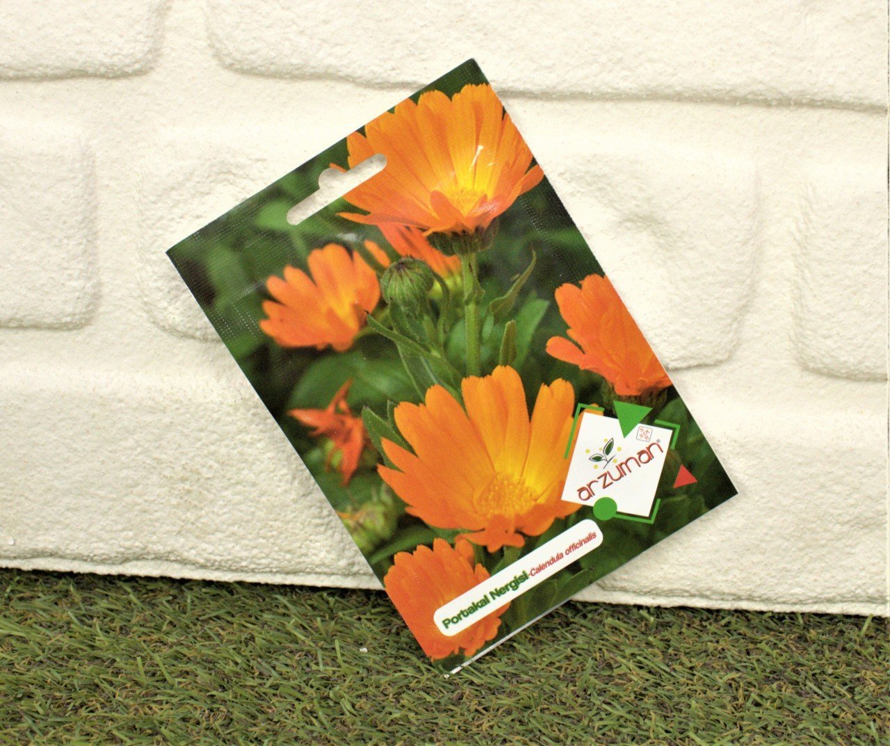 Portakal Nergisi Çiçeği Tohumu 1 Paket (30 Adet Tohum) Çiçek Tohumları