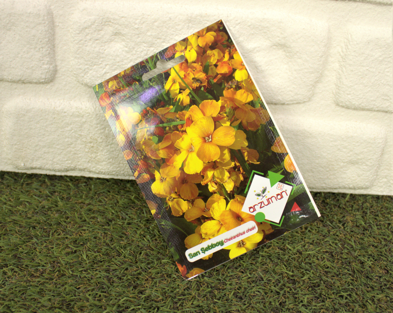 Sarı Şebboy Çiçeği Tohumu 1 Paket (50 Adet Tohum) Çiçek Tohumları
