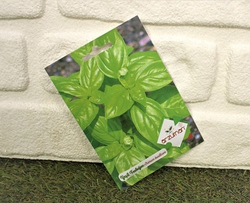 İri Yapraklı Yeşil Fesleğen Tohumu 1 Paket (100 Adet Tohum)