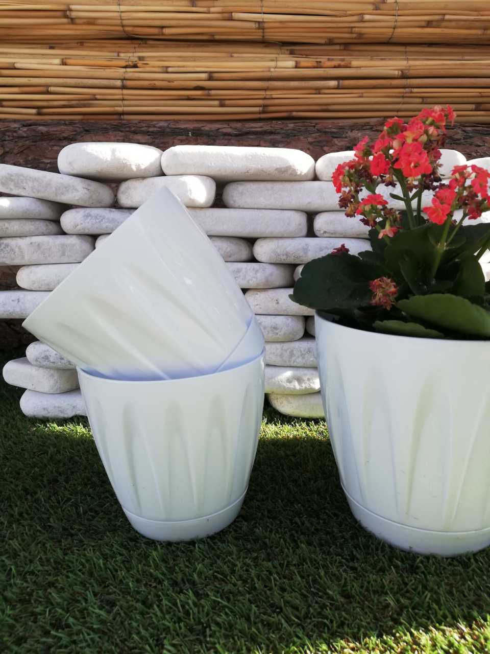 Renkli Saksı 1,5 LT 3 Adet Beyaz Renk Papatya Model Plastik Tabaklı Çiçek Saksısı